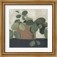 Framed 'Jade Hoya I' border=