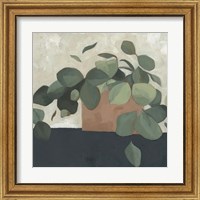 Framed 'Jade Hoya II' border=