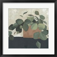 Jade Hoya II Framed Print