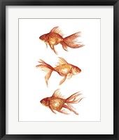 Framed Ornamental Goldfish III