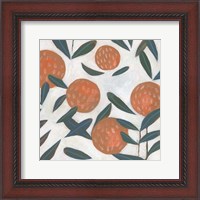 Framed 'Red Clover III' border=