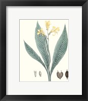 Framed 'Soft Tropical IV' border=