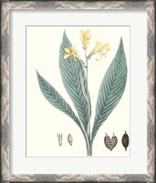 Framed 'Soft Tropical IV' border=