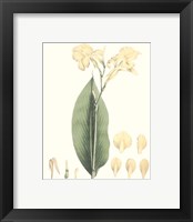 Framed 'Soft Tropical VII' border=