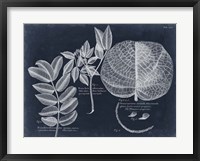 Foliage on Navy I Framed Print