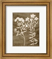 Framed 'Botanical in Taupe I' border=