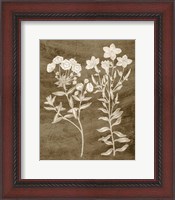 Framed 'Botanical in Taupe I' border=