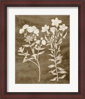 Framed 'Botanical in Taupe I' border=