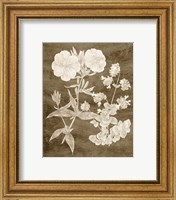 Framed 'Botanical in Taupe II' border=