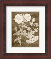 Framed 'Botanical in Taupe II' border=