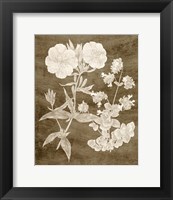 Framed 'Botanical in Taupe II' border=