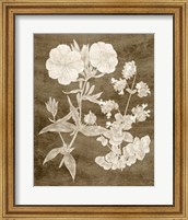 Framed 'Botanical in Taupe II' border=