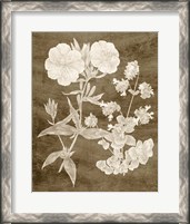 Framed 'Botanical in Taupe II' border=