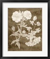 Framed 'Botanical in Taupe II' border=