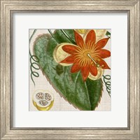 Framed 'Cropped Turpin Tropicals I' border=