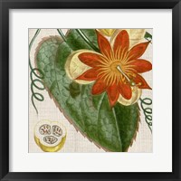 Cropped Turpin Tropicals I Framed Print