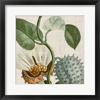 Cropped Turpin Tropicals II Framed Print