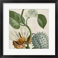 Framed 'Cropped Turpin Tropicals II' border=