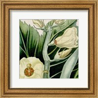 Framed 'Cropped Turpin Tropicals III' border=