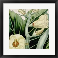Framed 'Cropped Turpin Tropicals III' border=