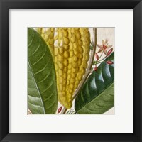 Framed 'Cropped Turpin Tropicals VI' border=