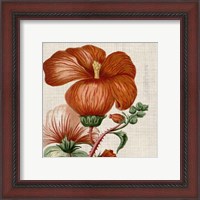 Framed 'Cropped Turpin Tropicals VIII' border=