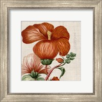 Framed 'Cropped Turpin Tropicals VIII' border=