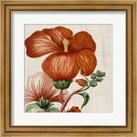 Framed 'Cropped Turpin Tropicals VIII' border=