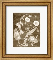 Framed 'Botanical in Taupe III' border=