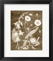 Framed 'Botanical in Taupe III' border=