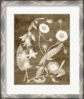 Framed 'Botanical in Taupe III' border=