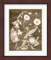 Framed 'Botanical in Taupe III' border=