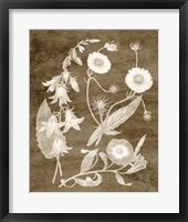 Framed Botanical in Taupe III