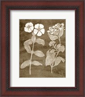 Framed 'Botanical in Taupe IV' border=