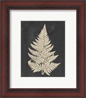 Framed 'Linen Fern I' border=