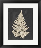 Framed 'Linen Fern I' border=