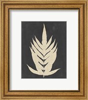 Framed 'Linen Fern II' border=