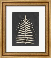 Framed 'Linen Fern III' border=