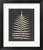 Framed 'Linen Fern III' border=