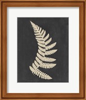 Framed 'Linen Fern IV' border=