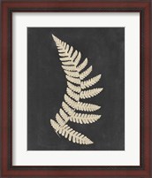 Framed 'Linen Fern IV' border=