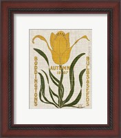 Framed 'Flower Seed Packs I' border=