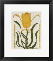 Framed 'Flower Seed Packs I' border=