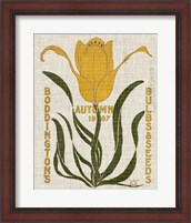 Framed 'Flower Seed Packs I' border=