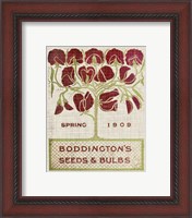 Framed 'Flower Seed Packs II' border=