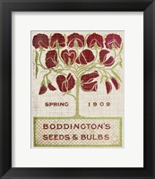 Framed 'Flower Seed Packs II' border=