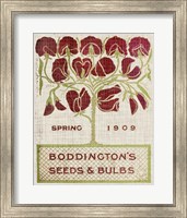 Framed 'Flower Seed Packs II' border=