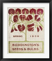 Framed 'Flower Seed Packs II' border=