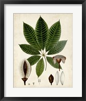 Verdant Foliage VII Framed Print