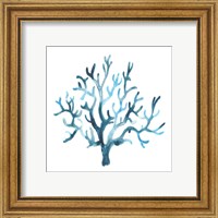 Framed 'Azure Seafan I' border=